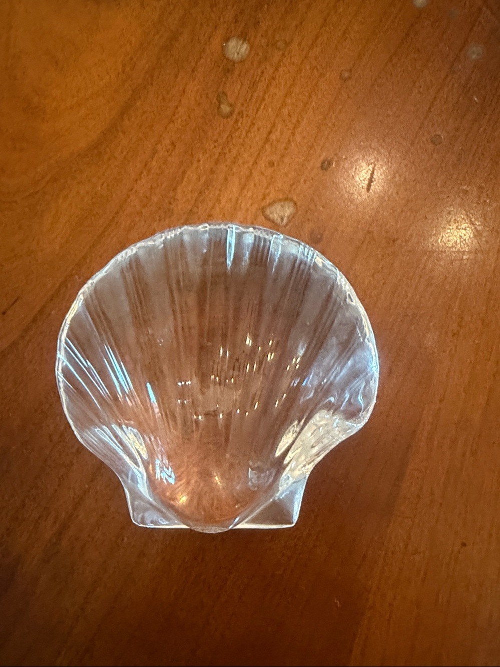 BACCARAT Crystal‎ Clear Glass Shell Paperweight